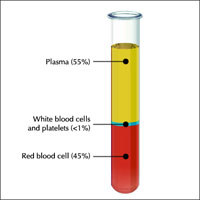 Platelet Rich Plasma therapy2